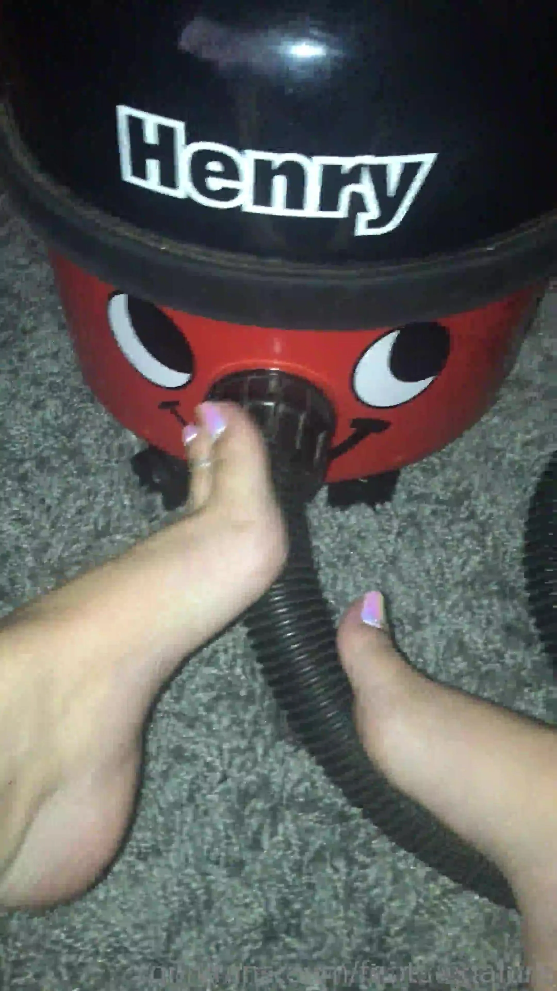 Footsiegalore footsie had a little too much wine and decided to thank henry  the hoover for