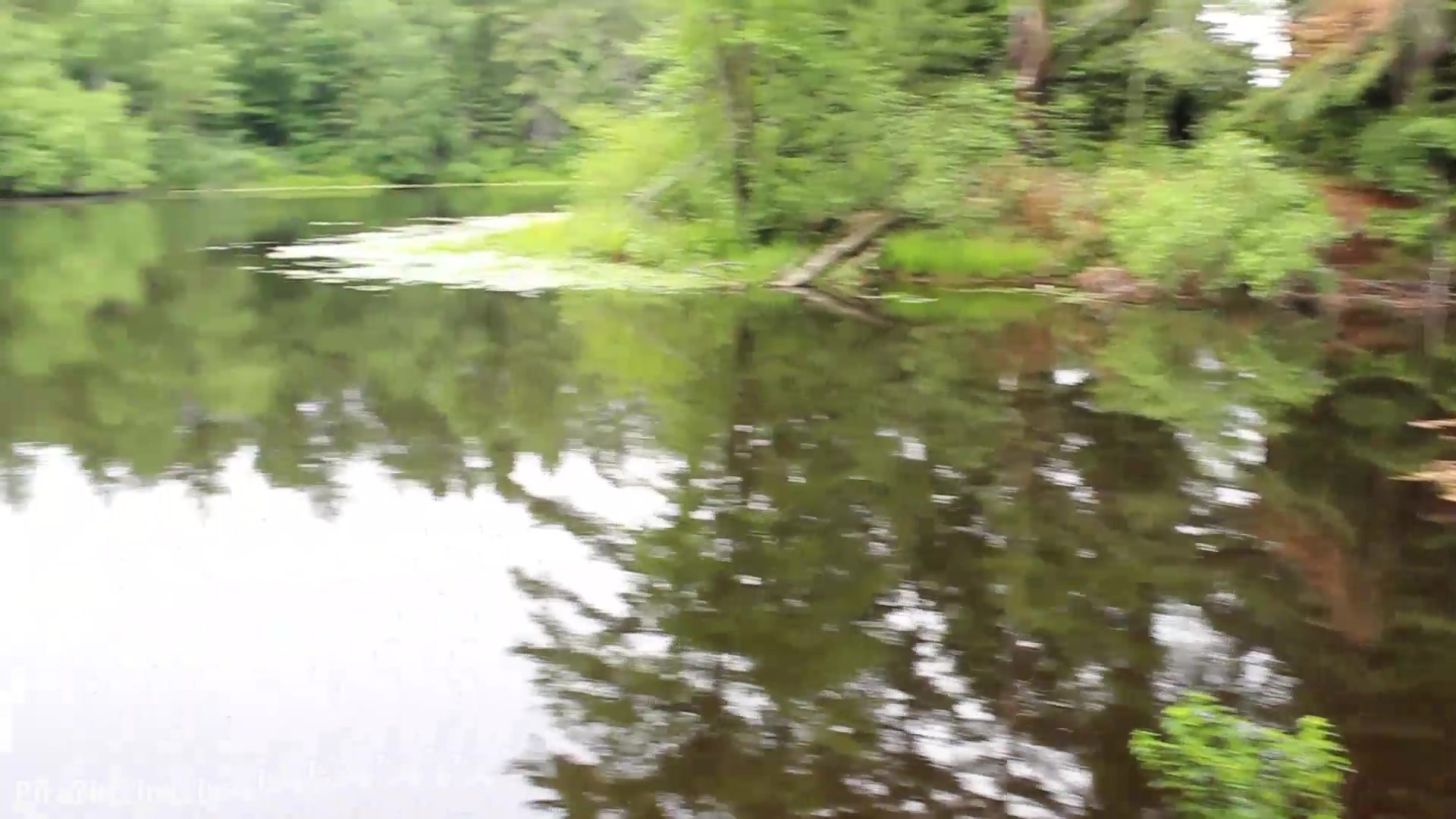 amateur in nature nude